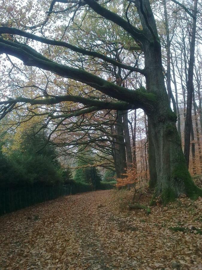 Fewo - Wohlfuehlambiente & Gartenparadies Modautal Extérieur photo